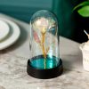 Eternal Rose with Galaxy LED Light in Glass Dome for Home Decor and Gifts Eternal Rose with Galaxy LED Light in Glass Dome for Home Decor and Gifts
