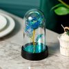 Eternal Rose with Galaxy LED Light in Glass Dome for Home Decor and Gifts Eternal Rose with Galaxy LED Light in Glass Dome for Home Decor and Gifts