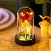 Eternal Rose with Galaxy LED Light in Glass Dome for Home Decor and Gifts Eternal Rose with Galaxy LED Light in Glass Dome for Home Decor and Gifts