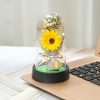 Everlasting Rose LED Glass Dome Bouquet Romantic Decorative Ornament for Valentine’s Day and Home Everlasting Rose LED Glass Dome Bouquet Romantic Decorative Ornament for Valentine’s Day and Home