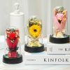 Everlasting Rose LED Glass Dome Bouquet Romantic Decorative Ornament for Valentine’s Day and Home Everlasting Rose LED Glass Dome Bouquet Romantic Decorative Ornament for Valentine’s Day and Home
