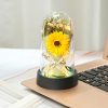Everlasting Rose LED Glass Dome Bouquet Romantic Decorative Ornament for Valentine’s Day and Home Everlasting Rose LED Glass Dome Bouquet Romantic Decorative Ornament for Valentine’s Day and Home
