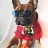 Fashion Dog Hoody Fashion Dog Hoody