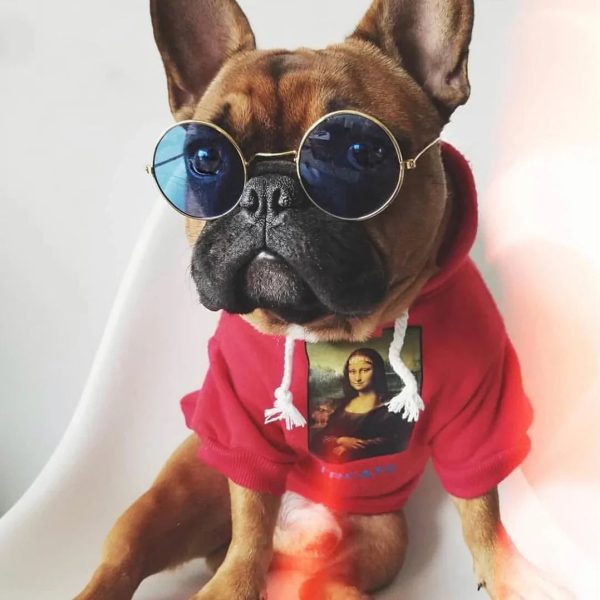 Fashion Dog Hoody Fashion Dog Hoody