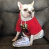 Fashion Dog Hoody Fashion Dog Hoody