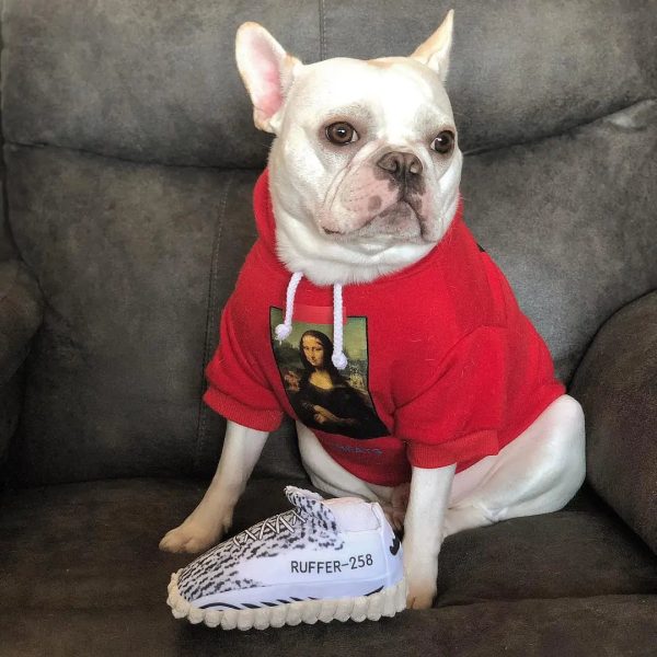 Fashion Dog Hoody Fashion Dog Hoody