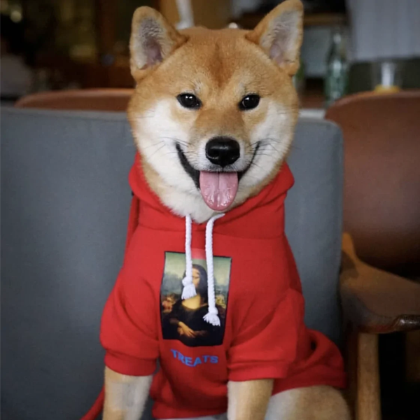 Fashion Dog Hoody Fashion Dog Hoody