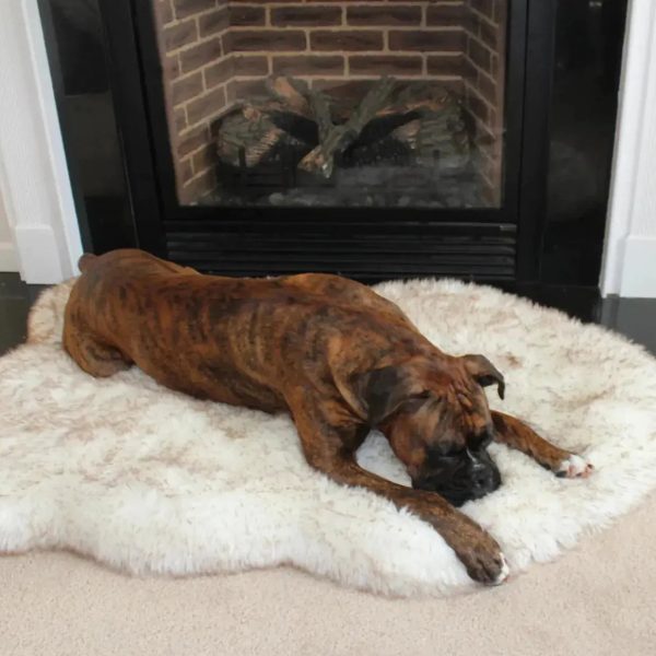 Faux Fur Dog Bed Faux Fur Dog Bed