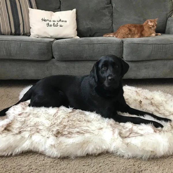 Faux Fur Dog Bed Faux Fur Dog Bed