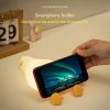 Flat Duck Lamps Flat Duck Lamps