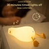 Flat Duck Lamps Flat Duck Lamps