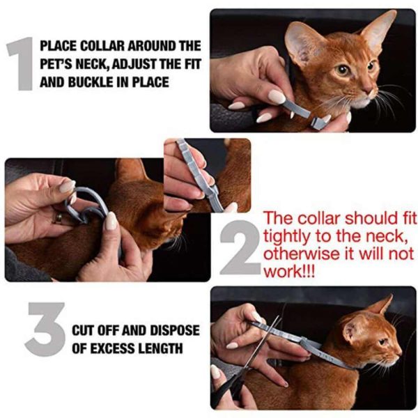 Flea and Tick Collar for Dogs Flea and Tick Collar for Dogs