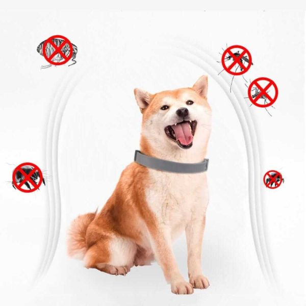 Flea and Tick Collar for Dogs Flea and Tick Collar for Dogs