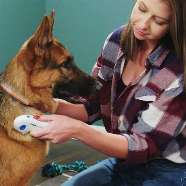 Flea Doctor Electric Flea Comb Vibrating Flea Removal for Pets Flea Doctor Electric Flea Comb Vibrating Flea Removal for Pets