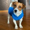 Fleece Dog Jacket