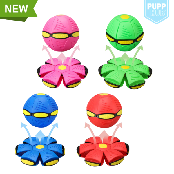 Flippit Interactive Dog Toy