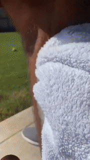 Foam Hair Removal Spray Foam Hair Removal Spray