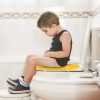 Foldable Potty Training Seat Foldable Potty Training Seat