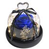 Forever Preserved Rose in Glass with Lamp for Valentine and Special Occasions Forever Preserved Rose in Glass with Lamp for Valentine and Special Occasions
