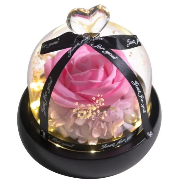 Forever Preserved Rose in Glass with Lamp for Valentine and Special Occasions Forever Preserved Rose in Glass with Lamp for Valentine and Special Occasions