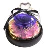 Forever Preserved Rose in Glass with Lamp for Valentine and Special Occasions Forever Preserved Rose in Glass with Lamp for Valentine and Special Occasions