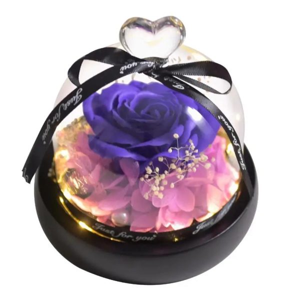 Forever Preserved Rose in Glass with Lamp for Valentine and Special Occasions Forever Preserved Rose in Glass with Lamp for Valentine and Special Occasions