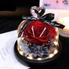 Forever Preserved Rose in Glass with Lamp for Valentine and Special Occasions Forever Preserved Rose in Glass with Lamp for Valentine and Special Occasions