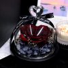 Forever Preserved Rose in Glass with Lamp for Valentine and Special Occasions Forever Preserved Rose in Glass with Lamp for Valentine and Special Occasions