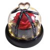 Forever Preserved Rose in Glass with Lamp for Valentine and Special Occasions Forever Preserved Rose in Glass with Lamp for Valentine and Special Occasions