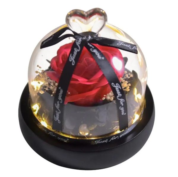 Forever Preserved Rose in Glass with Lamp for Valentine and Special Occasions Forever Preserved Rose in Glass with Lamp for Valentine and Special Occasions