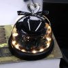 Forever Preserved Rose in Glass with Lamp for Valentine and Special Occasions Forever Preserved Rose in Glass with Lamp for Valentine and Special Occasions