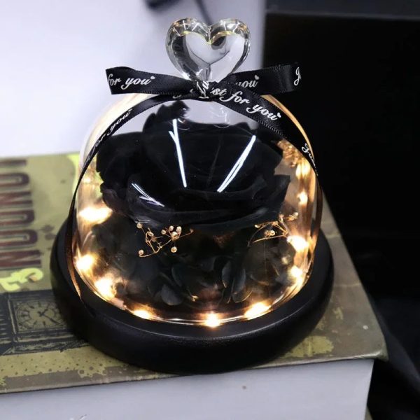 Forever Preserved Rose in Glass with Lamp for Valentine and Special Occasions Forever Preserved Rose in Glass with Lamp for Valentine and Special Occasions