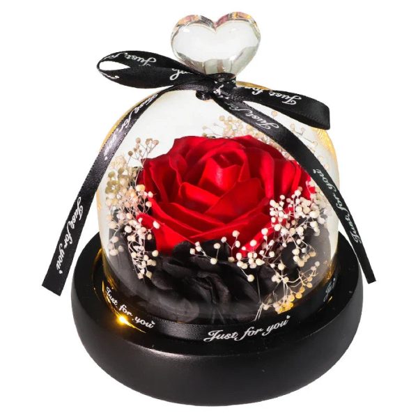 Forever Preserved Rose in Glass with Lamp for Valentine and Special Occasions Forever Preserved Rose in Glass with Lamp for Valentine and Special Occasions
