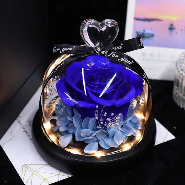 Forever Preserved Rose in Glass with Lamp for Valentine and Special Occasions Forever Preserved Rose in Glass with Lamp for Valentine and Special Occasions
