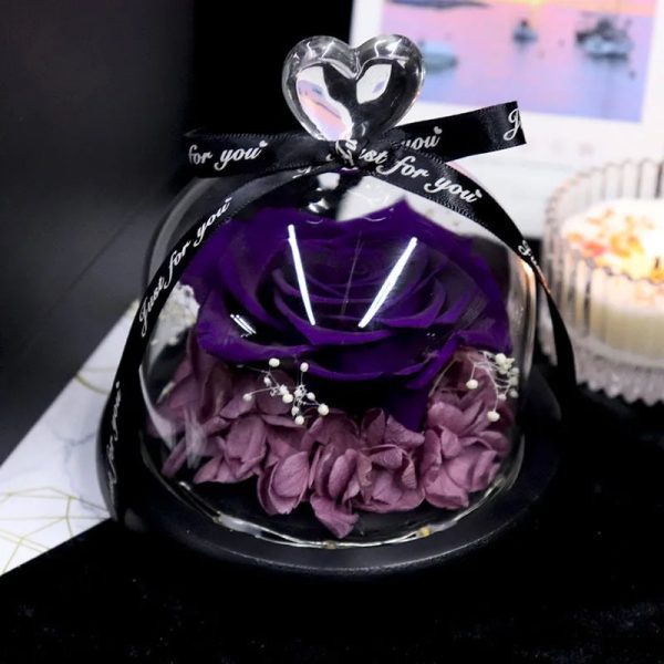 Forever Preserved Rose in Glass with Lamp for Valentine and Special Occasions Forever Preserved Rose in Glass with Lamp for Valentine and Special Occasions