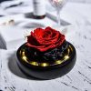 Forever Rose in Glass Dome with LED Light for Valentine and Special Occasions Forever Rose in Glass Dome with LED Light for Valentine and Special Occasions