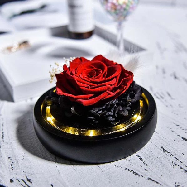 Forever Rose in Glass Dome with LED Light for Valentine and Special Occasions Forever Rose in Glass Dome with LED Light for Valentine and Special Occasions