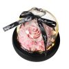 Forever Rose in Glass Dome with LED Light for Valentine and Special Occasions Forever Rose in Glass Dome with LED Light for Valentine and Special Occasions