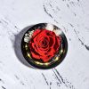 Forever Rose in Glass Dome with LED Light for Valentine and Special Occasions Forever Rose in Glass Dome with LED Light for Valentine and Special Occasions