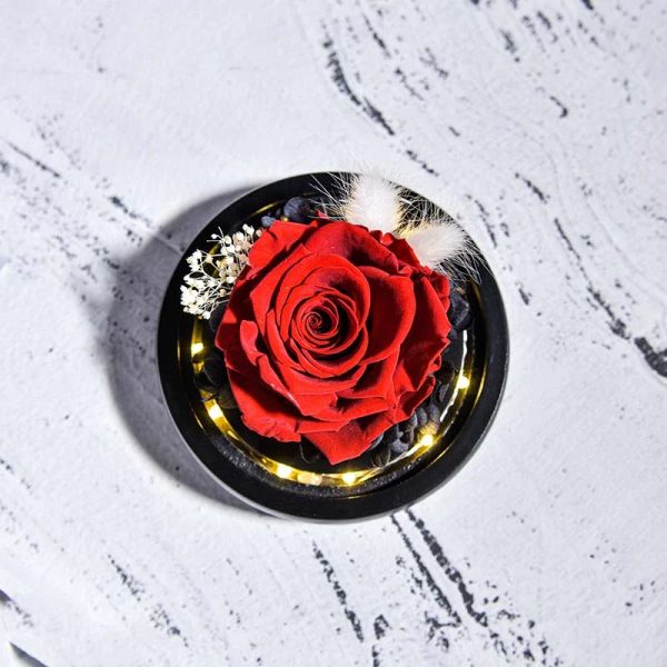 Forever Rose in Glass Dome with LED Light for Valentine and Special Occasions Forever Rose in Glass Dome with LED Light for Valentine and Special Occasions