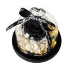Forever Rose in Glass Dome with LED Light for Valentine and Special Occasions Forever Rose in Glass Dome with LED Light for Valentine and Special Occasions