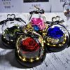 Forever Rose in Glass Dome with LED Light for Valentine and Special Occasions Forever Rose in Glass Dome with LED Light for Valentine and Special Occasions
