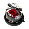 Forever Rose in Glass Dome with LED Light for Valentine and Special Occasions Forever Rose in Glass Dome with LED Light for Valentine and Special Occasions