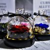 Forever Rose in Glass Dome with LED Light for Valentine and Special Occasions Forever Rose in Glass Dome with LED Light for Valentine and Special Occasions