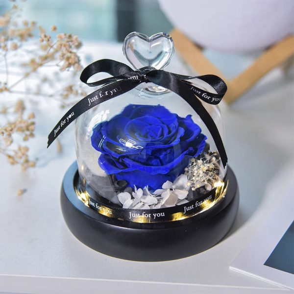Forever Rose in Glass Dome with LED Light for Valentine and Special Occasions Forever Rose in Glass Dome with LED Light for Valentine and Special Occasions