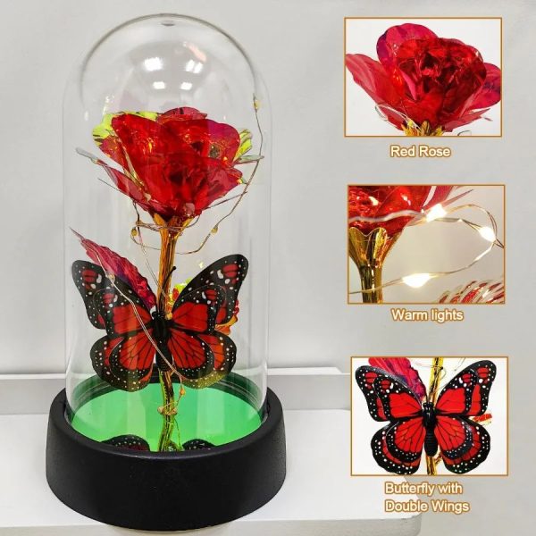 Forever Rose LED in Glass Dome – Romantic Gift for Mom or Wife Forever Rose LED in Glass Dome – Romantic Gift for Mom or Wife
