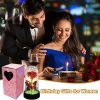 Forever Rose LED in Glass Dome – Romantic Gift for Mom or Wife Forever Rose LED in Glass Dome – Romantic Gift for Mom or Wife