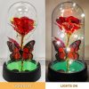 Forever Rose LED in Glass Dome – Romantic Gift for Mom or Wife Forever Rose LED in Glass Dome – Romantic Gift for Mom or Wife