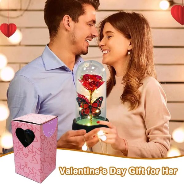 Forever Rose LED in Glass Dome – Romantic Gift for Mom or Wife Forever Rose LED in Glass Dome – Romantic Gift for Mom or Wife