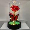 Forever Rose LED in Glass Dome – Romantic Gift for Mom or Wife Forever Rose LED in Glass Dome – Romantic Gift for Mom or Wife